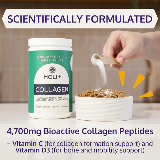 HOLI+ Collagen for Dogs - Shaketea