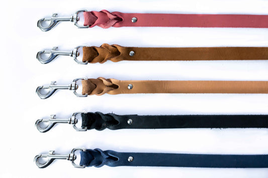 Pro Line Leather Braided Dog Leash