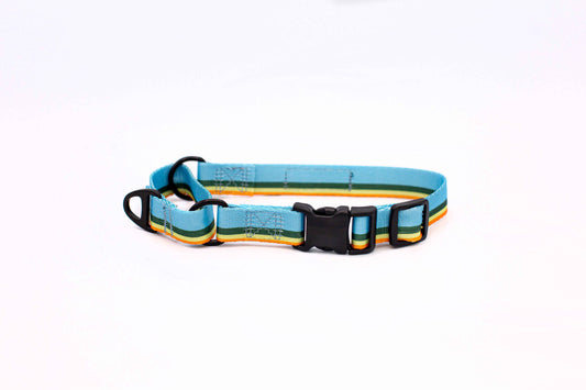 Outdoor Style All Nylon Martingale Collar