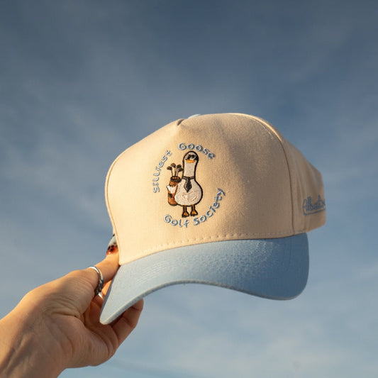 Silly Goose Hat