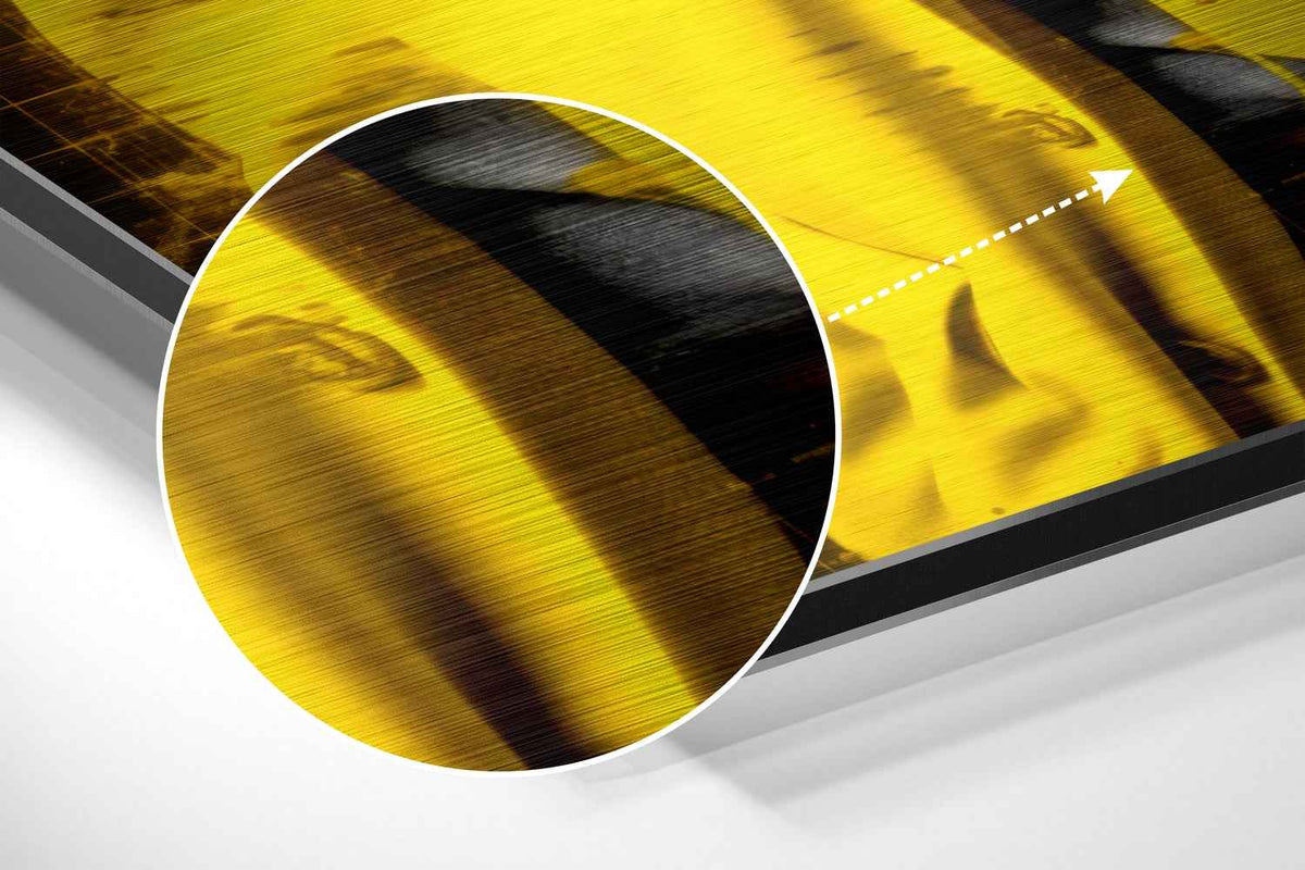 I Told You Genius Scientist Brushed Aluminum Dibond Wall Art