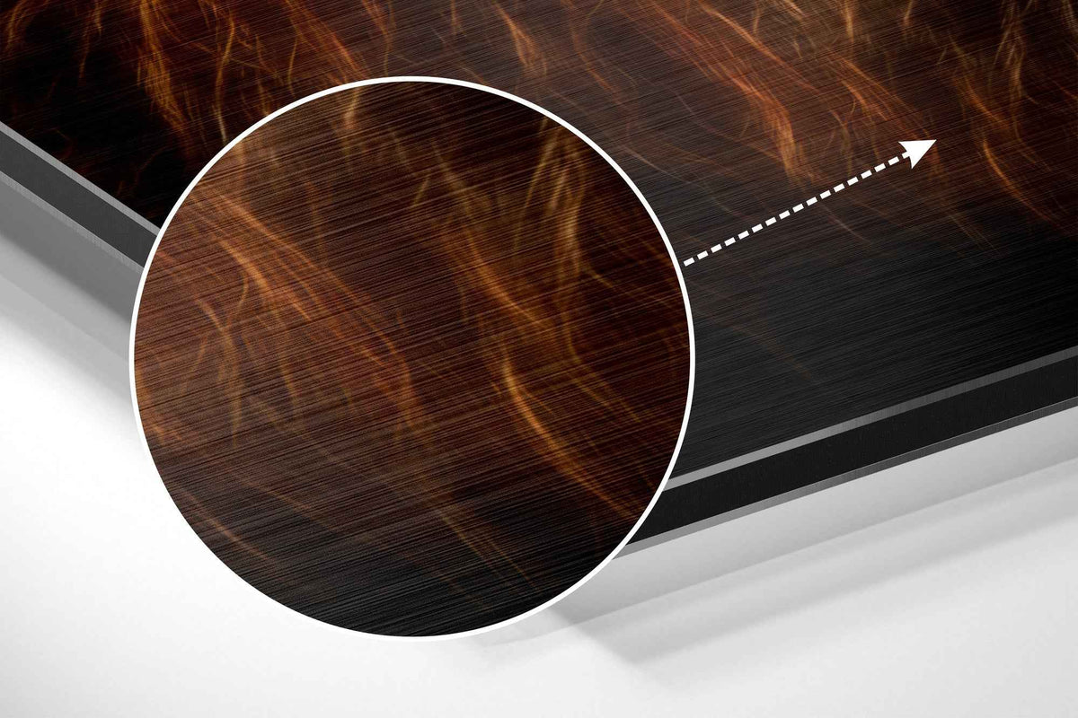 Fiery Mane Lion Starry Sunset Brushed Aluminium Dibond Wall Art