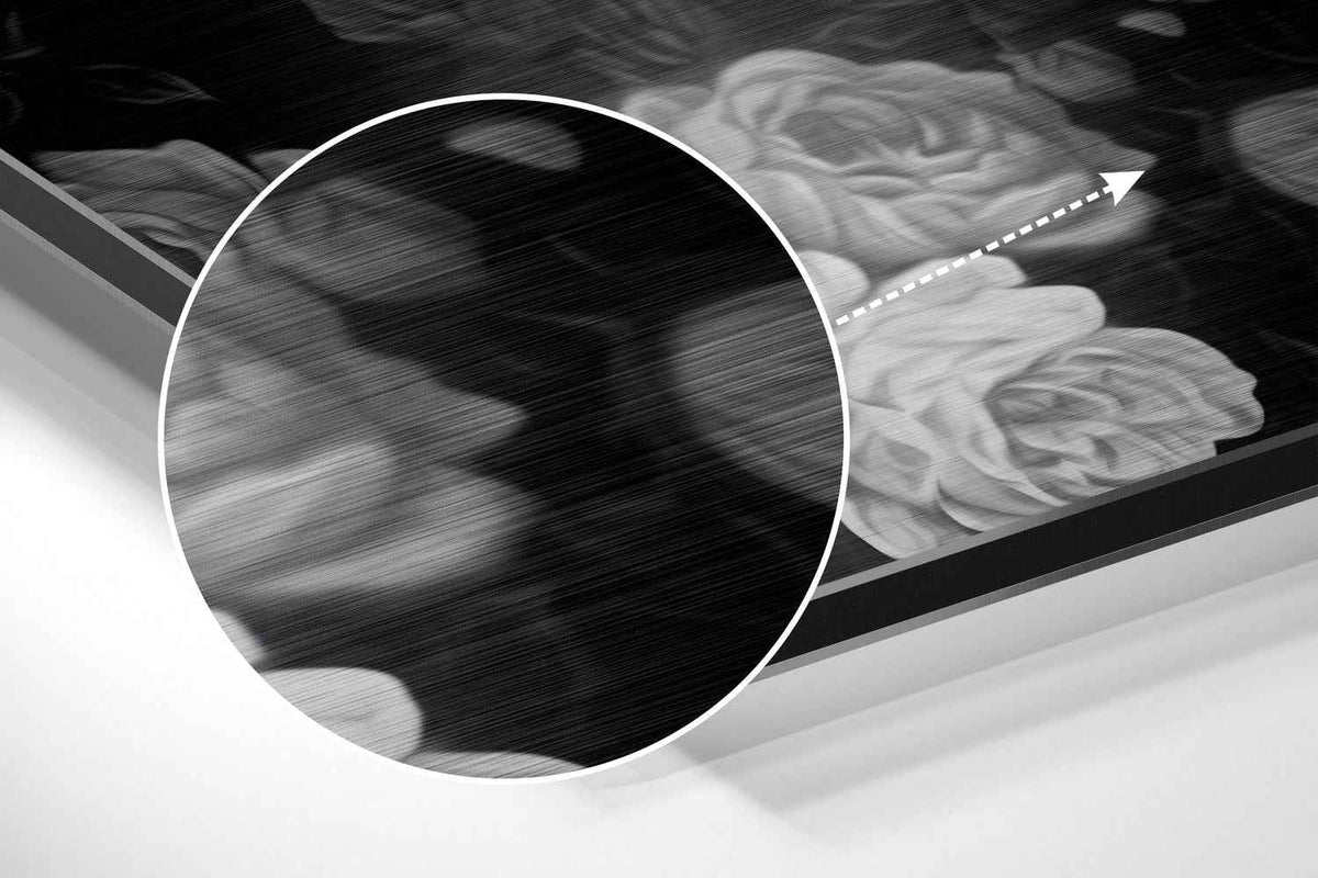 Skull and Roses Brushed Aluminium Dibond Wall Art