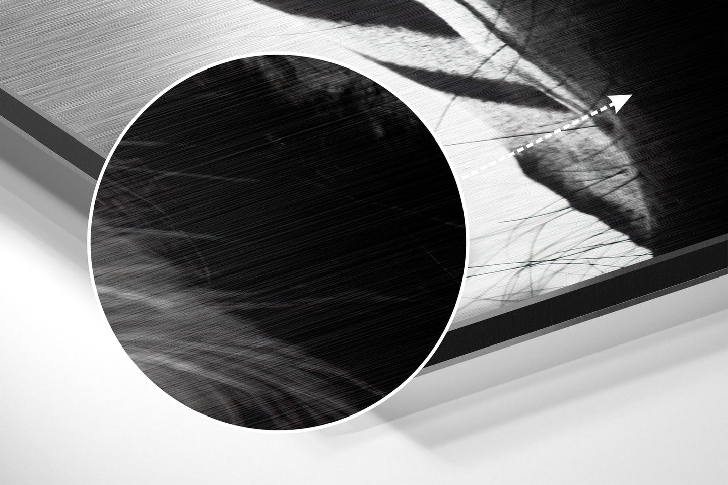 Buffalo Brushed Aluminium Dibond Wall Art