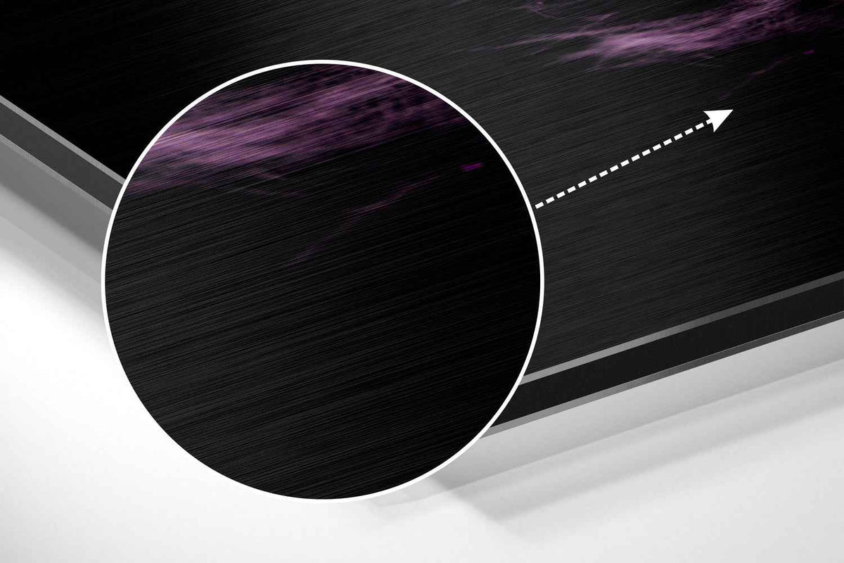 Purple Feather on Black Brushed Aluminium Dibond Wall Art