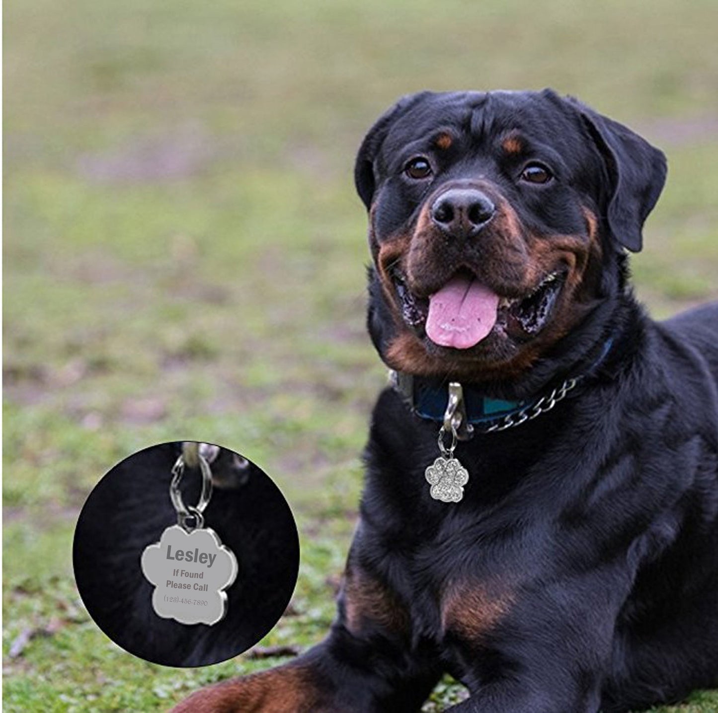 Personalized Dog Tags and Cat Tags with Chain Custom Engraved Pet Tag