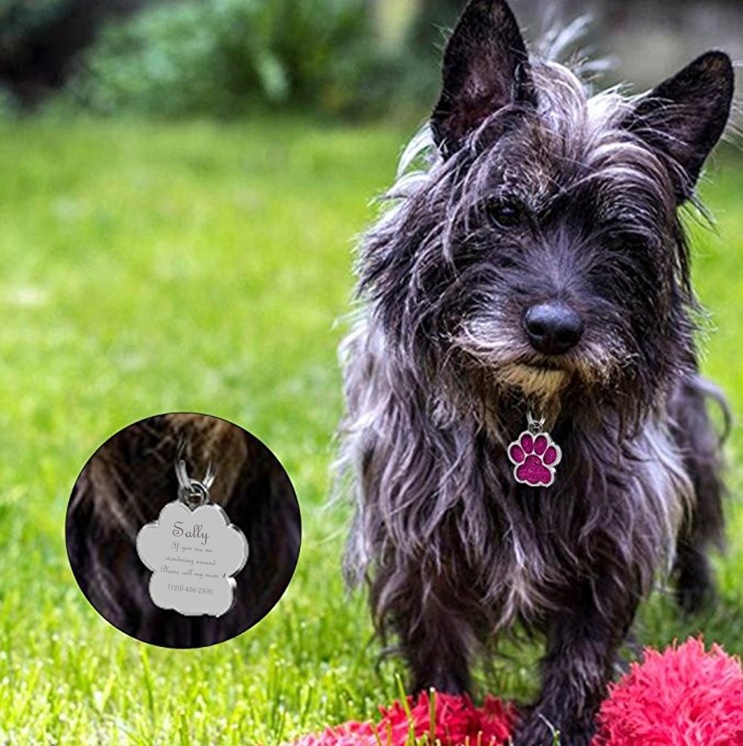 Personalized Dog Tags and Cat Tags with Chain Custom Engraved Pet Tag
