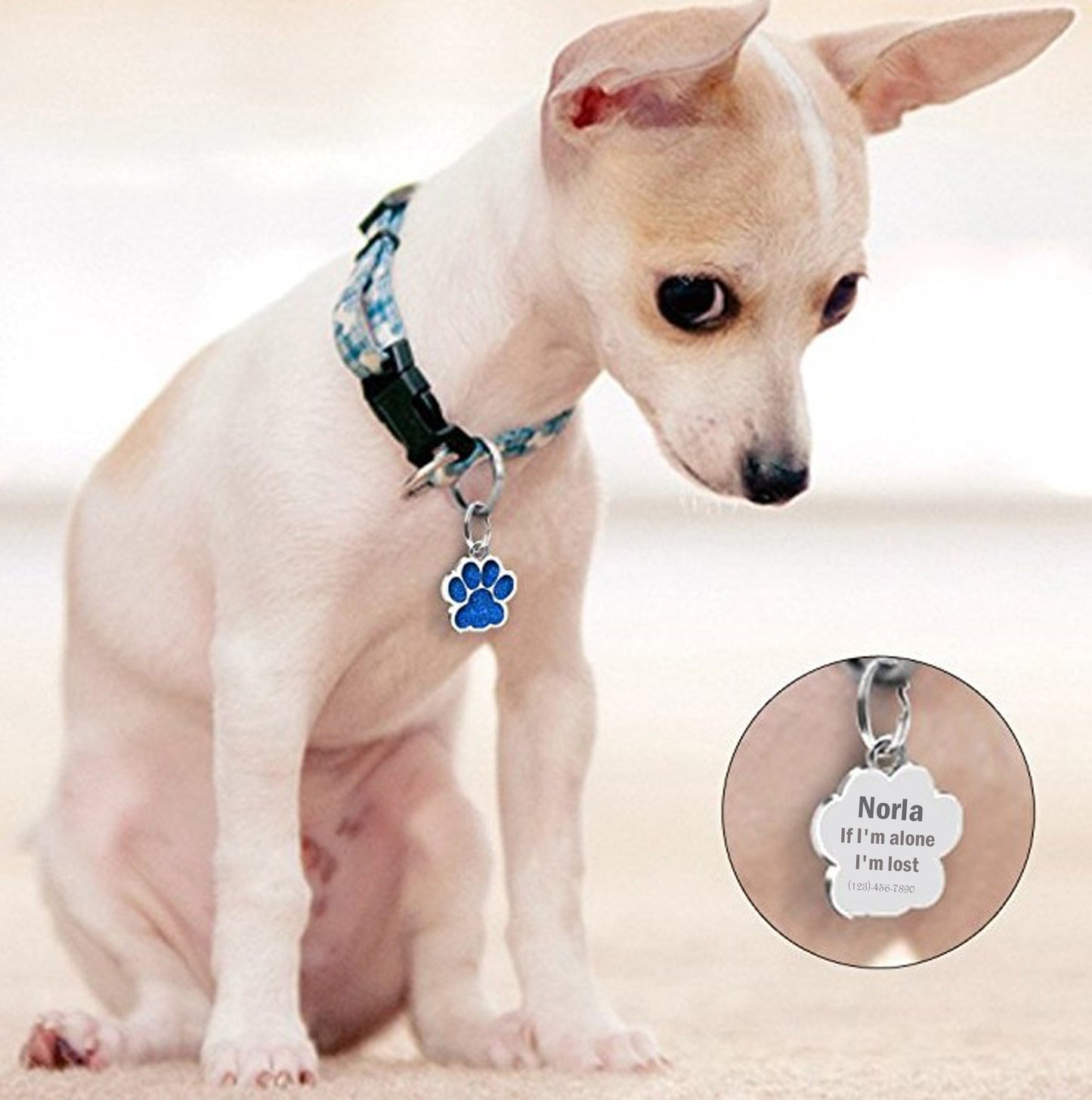 Personalized Dog Tags and Cat Tags with Chain Custom Engraved Pet Tag