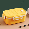 2 Layers Bento Box Lunch Container for Kids Men Women, Leakproof and Durable