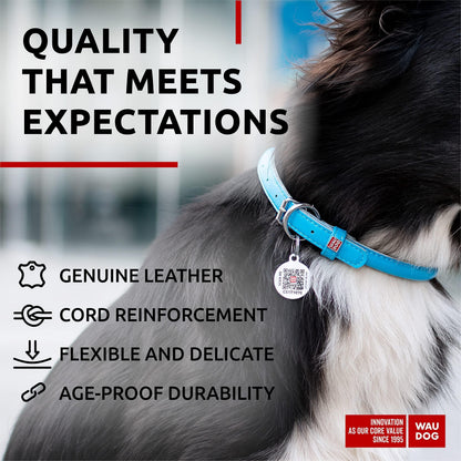 Blue Ultra Soft Rolled Leather Dog Collar 13-16 inch Neck Soft Padded Dog Collars for Medium Dogs Puppy Collar