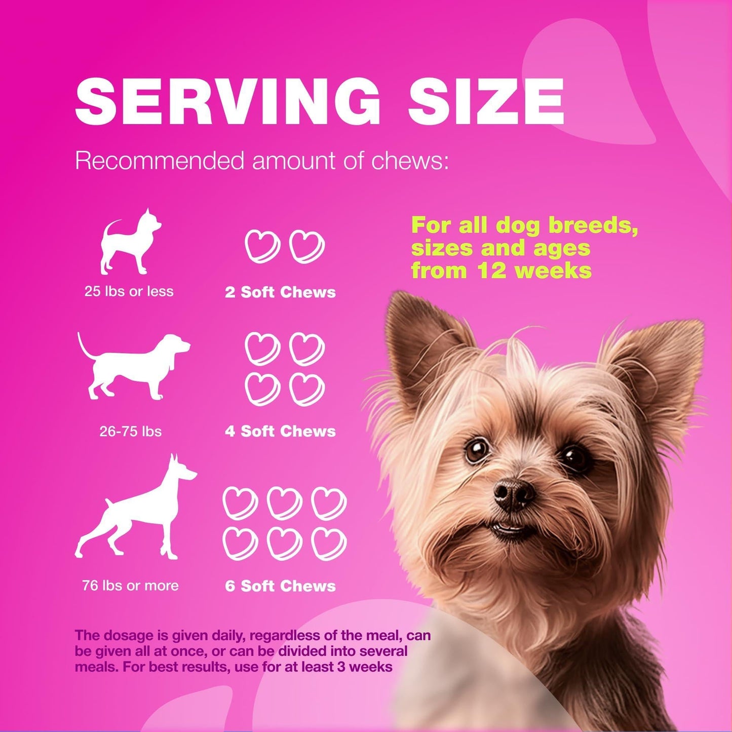 Dog UTI Treatment Cranberry Supplement Bladder & Kidney Health