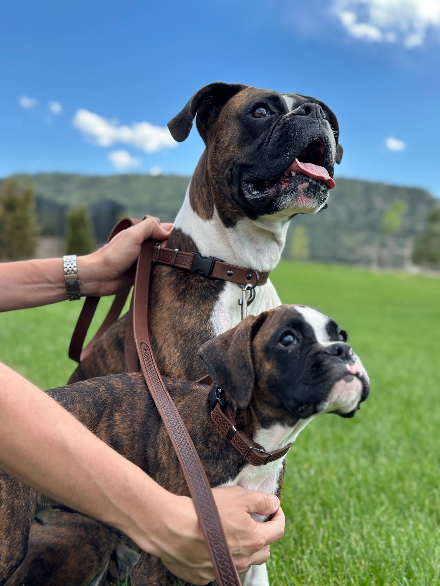 Celtic Sport Leather Dog Leash