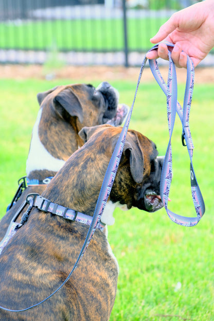 Outdoor Style Nylon Dog Leash