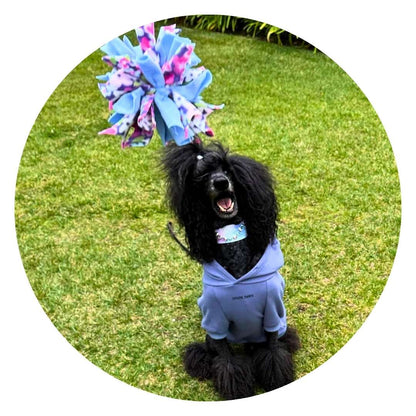 3-in-1 Bundle Enrichment Tube for Dogs - Tug Toy, Treat Dispenser & Snuffle Ball - Shaketea