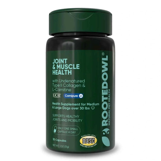 Joint & Muscle Health