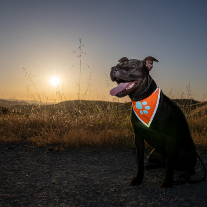 Reflective Dog Bandana Hi-Vis S Size 10 in Neck Orange