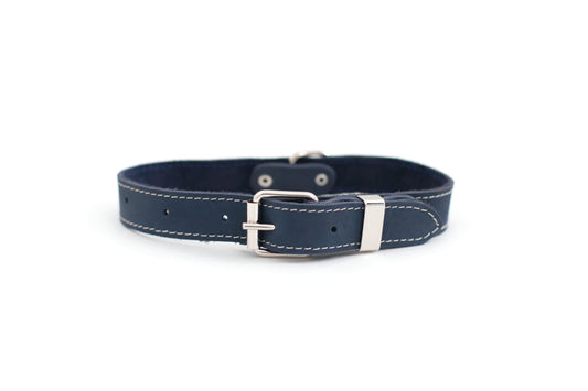 Pro Line Leather Hunting Dog Collar - Shaketea