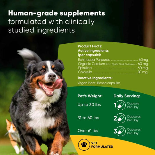 Spirulina & Chlorella