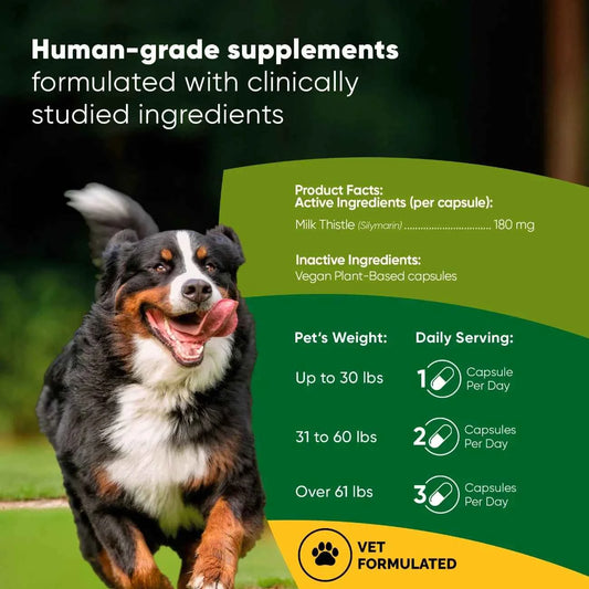 Liver Support