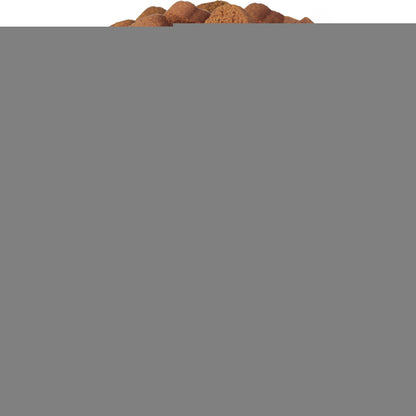 Dog Multivitamin Chews 15-in-1 MSM Hip & Joint Health
