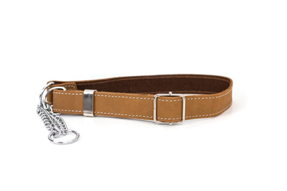 Martingale Leather Dog Collar