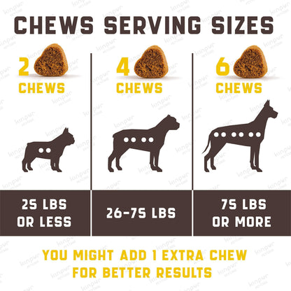 Green & Beautiful Lawn: Reduce yellow patches with green lawn chews for healthy dogs! Easy lower nitrogen in dog urine and deal with unwanted yellow burn spots. Try an amazing grass saver for a clean and vibrant yard! Gut Health for Dogs: Burn spots