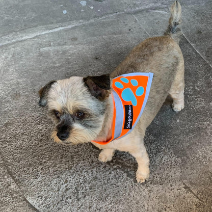 Reflective Dog Bandana Hi-Vis S Size 10 in Neck Orange