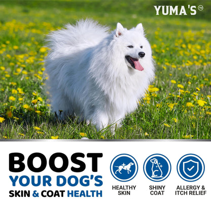 Omega-3 Fish Oil for Dogs 170 Chews Skin & Coat Supplement