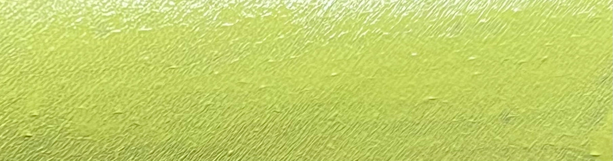 44 - Chartreuse (Yellow) Water Activated Graphic Liner