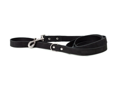 Modern Style Leather Dog Leash