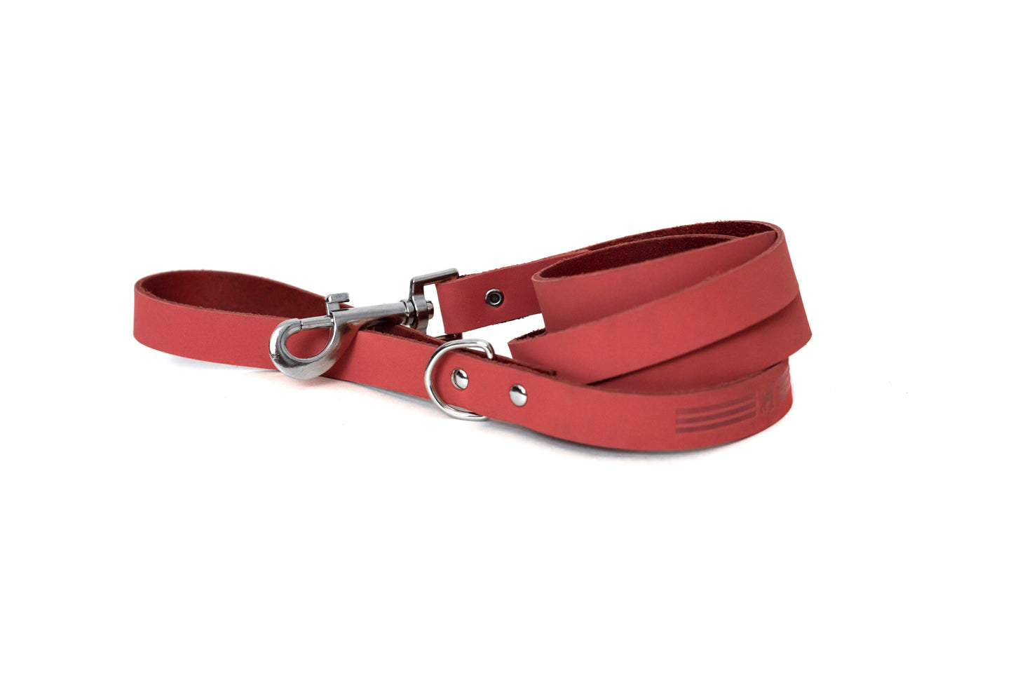 Modern Style Leather Dog Leash