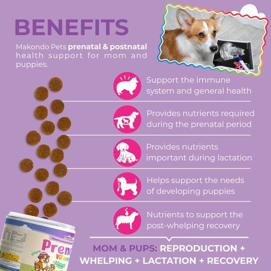 Dog Prenatal Vitamins 120 Soft Chews Folic Acid Zinc B-Complex DHA & EPA