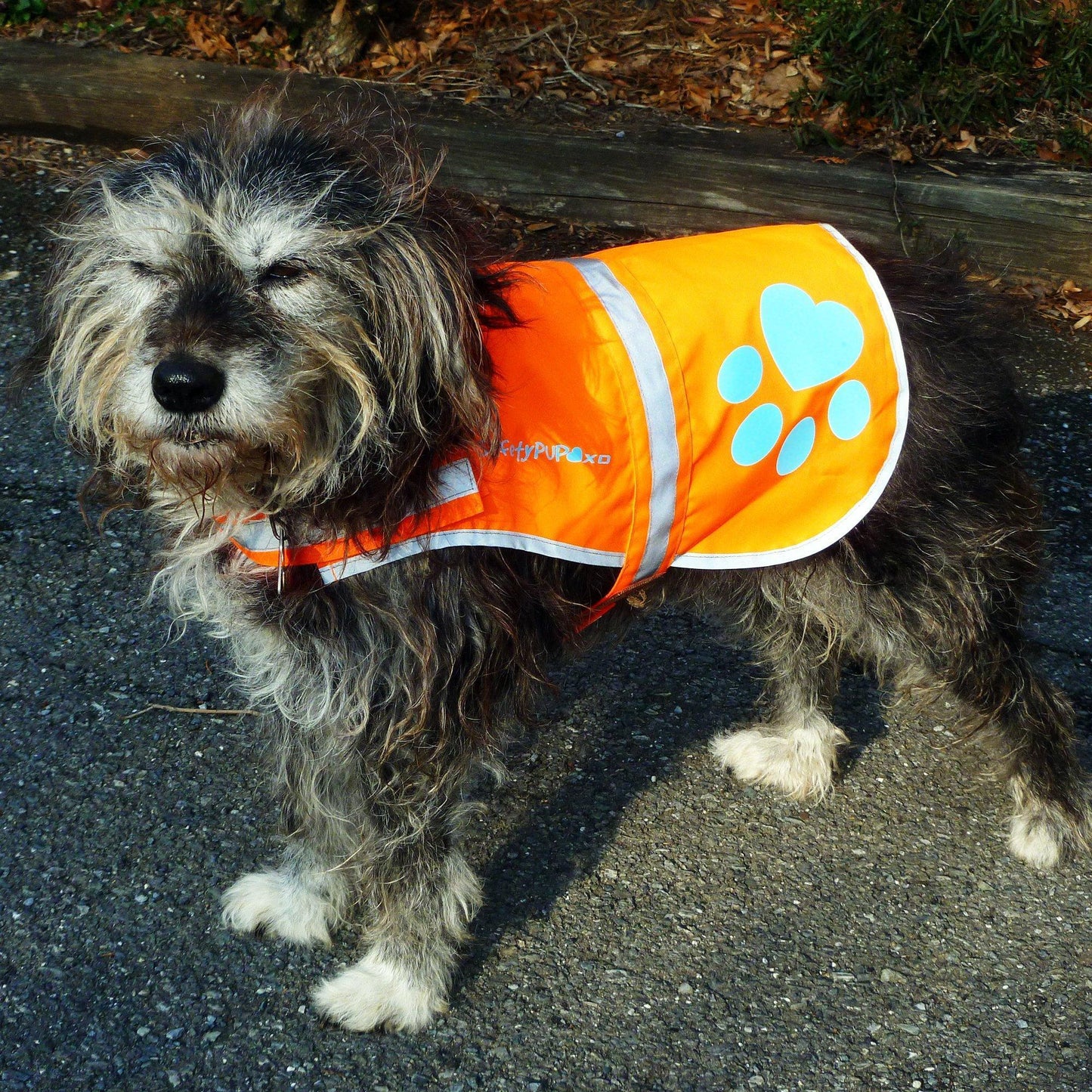 Reflective Dog Vest Hi-Vis S Size 27.5 in Chest x 19 in Neck Orange