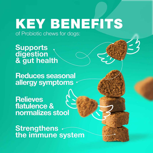 Probiotics for Dogs Digestive Enzymes Gut Health Pumpkin & Yeast Powder