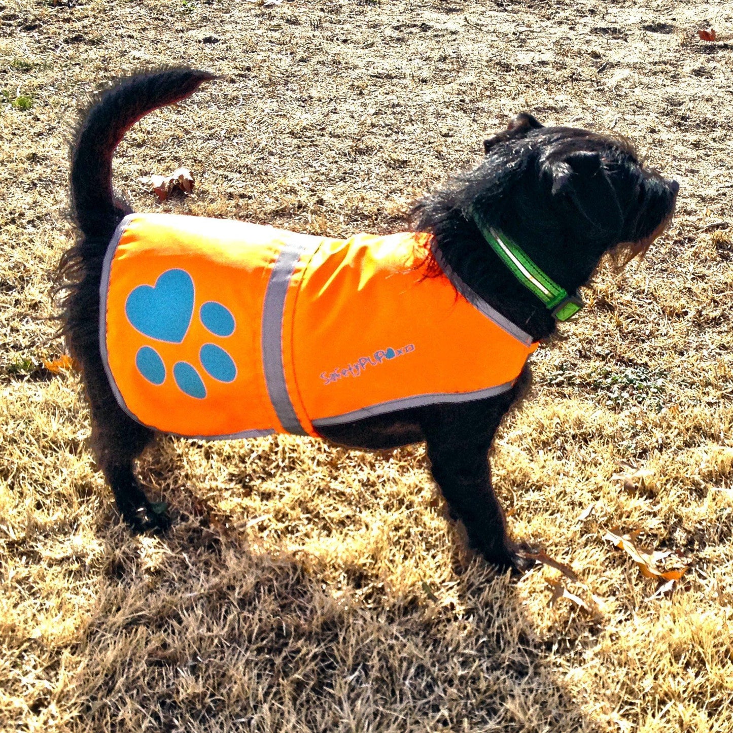 Reflective Dog Vest Hi-Vis S Size 27.5 in Chest x 19 in Neck Orange