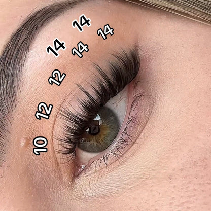 Starry Eyes