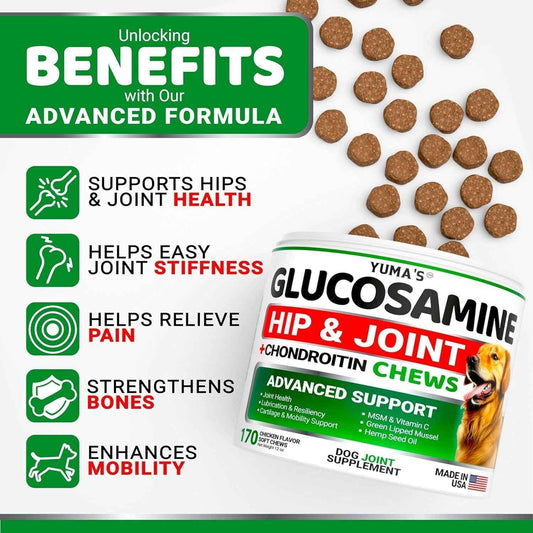 Glucosamine for Dogs 2-Pack Chondroitin Joint Pain Relief