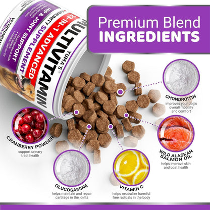 Multivitamin Treats for Dogs 2-Pack
