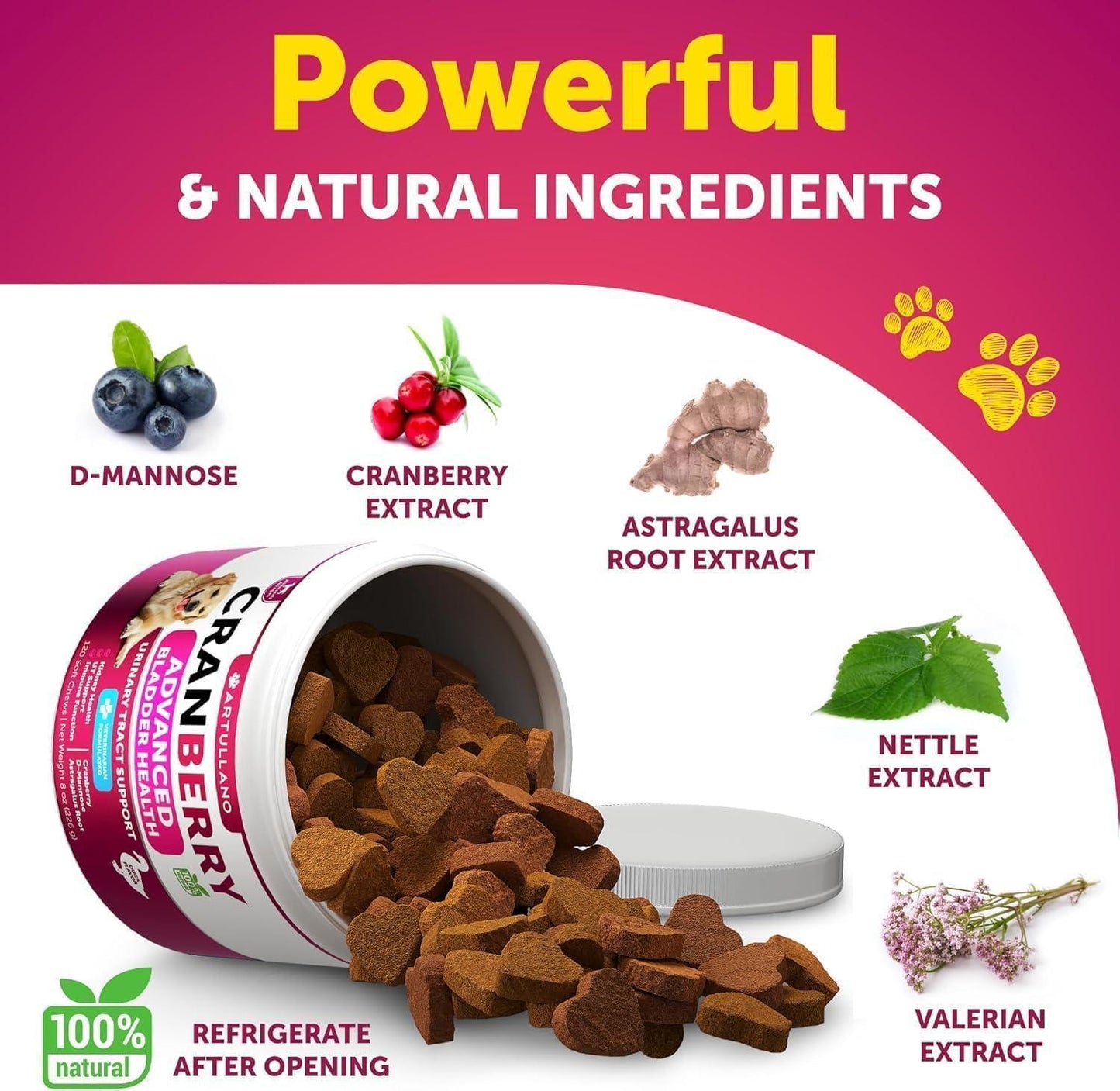 Dog UTI Treatment 240 Chews 2-Pack Cranberry Bladder & Kidney Support