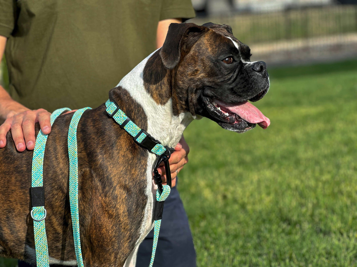 Mountain Flat Weave Climbing Rope Dog Leash