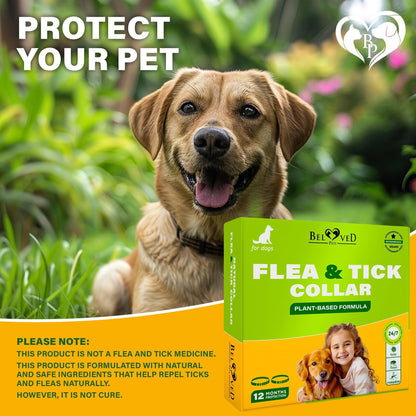 Flea & Tick Collar for Dogs 6-Month Protection Essential Oil 2 Count