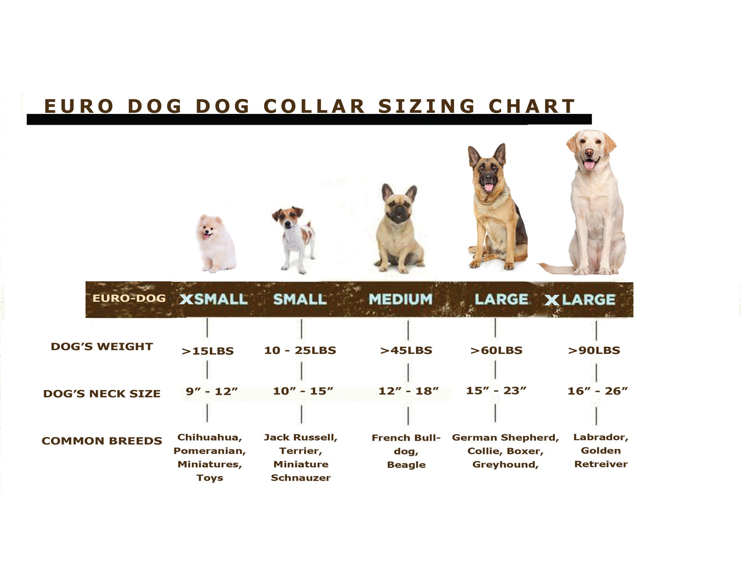 Pro Line Quick-Release Leather Dog Collar with Metal Buckle