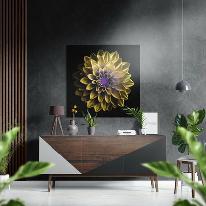 Golden Dahlia Purple Core Brushed Aluminium Dibond Wall Art