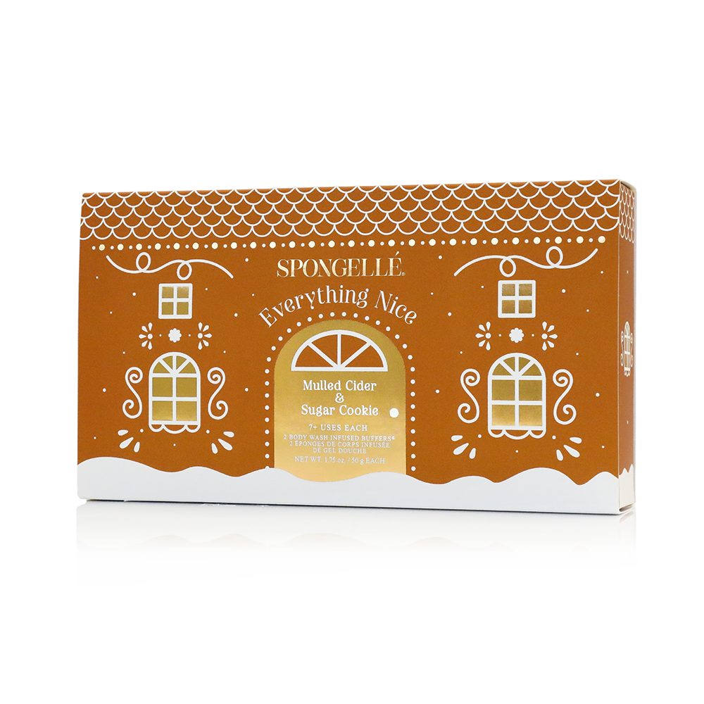 Everything Nice | Holiday Gingerbread Gift Set - Shaketea