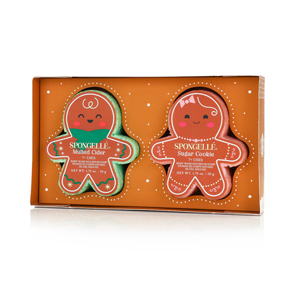 Everything Nice | Holiday Gingerbread Gift Set - Shaketea