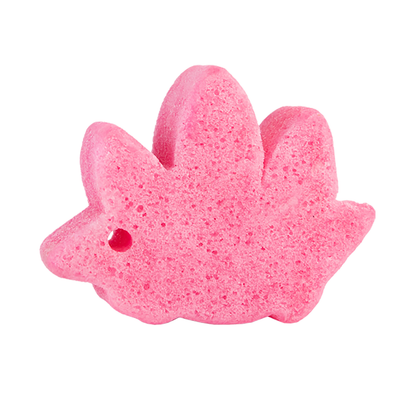 Sally Stegosaurus | Spongeasaurus Dinosaur Buffer - Shaketea