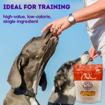 Cheddar Cheese Dog Treats - Freeze Dried - Single Ingredient