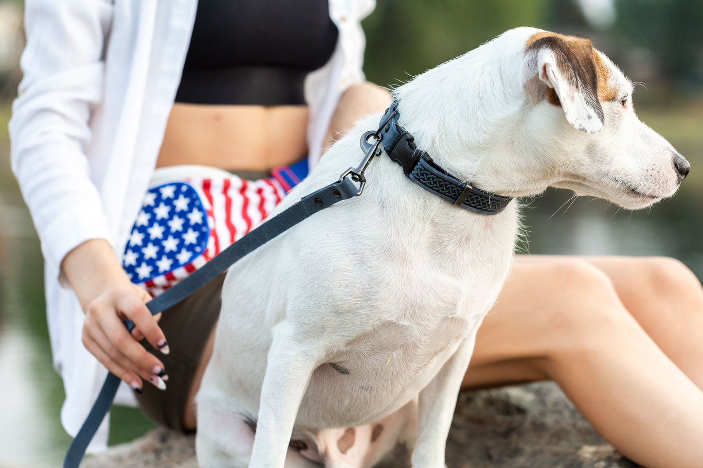 Celtic Sport Quick-Release Leather Dog Collar