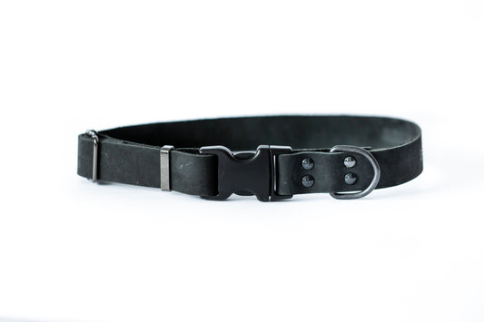 Sport Style Leather Dog Collar - Shaketea