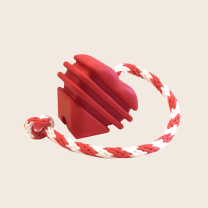 Chew Toys - Shaketea